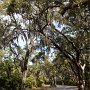 <p align=left>Petite route dans le Fort clinch State Park.